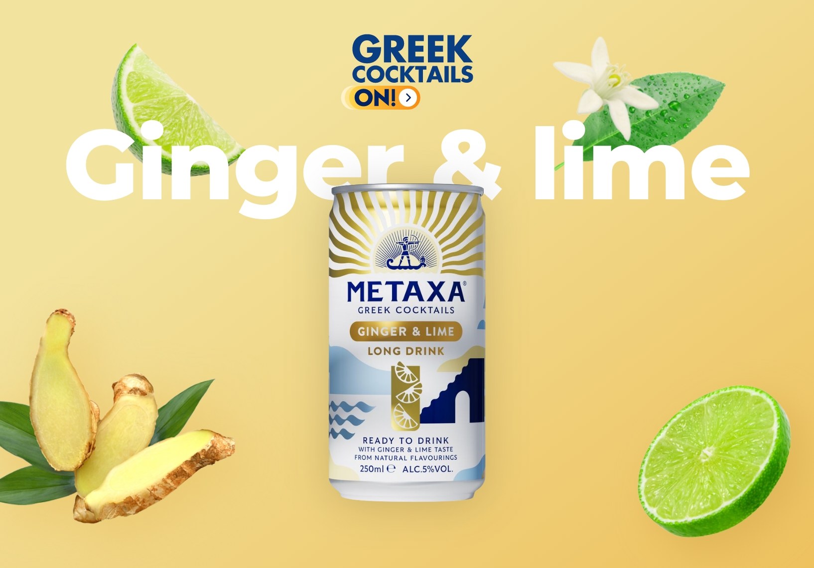 Metaxa rtds proposal